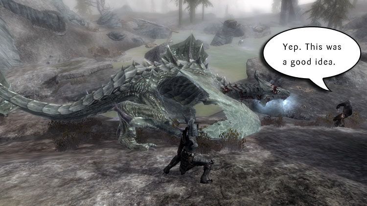 Dragon Vs Necromancer